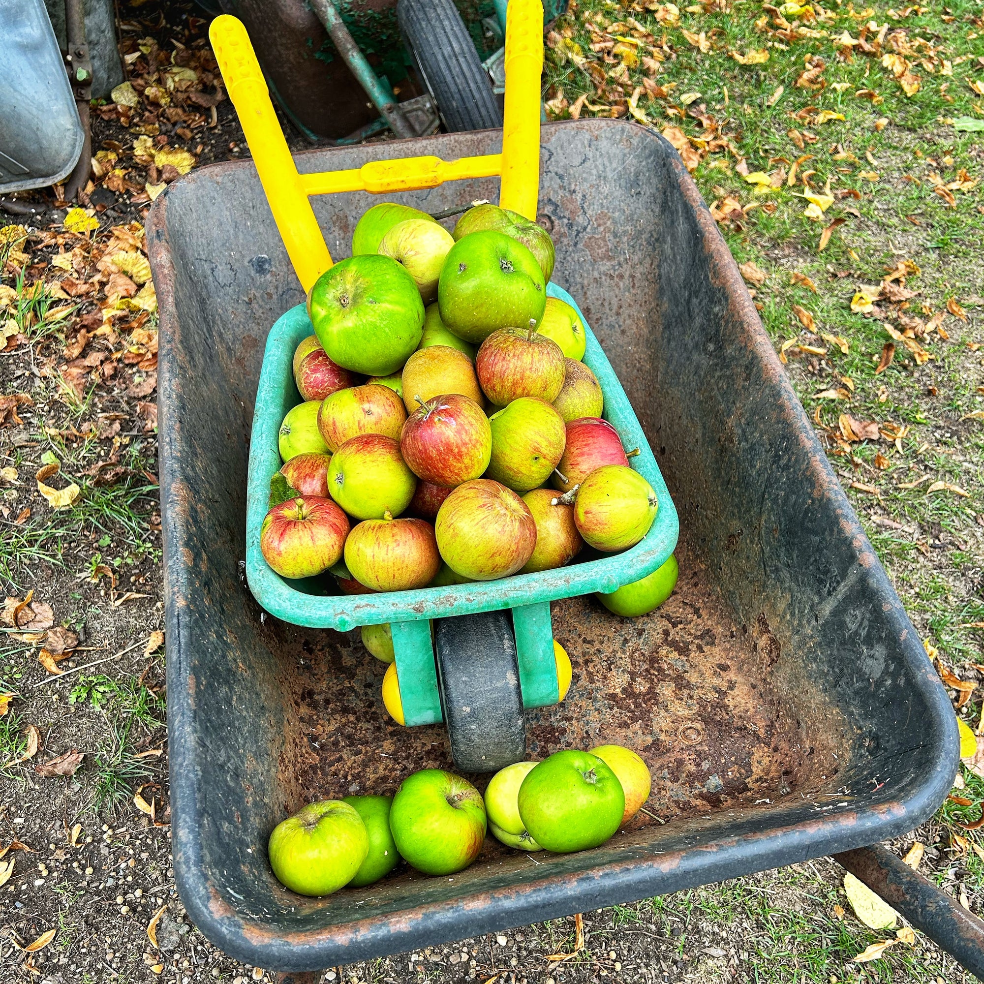 The Apple Graf Beer Project